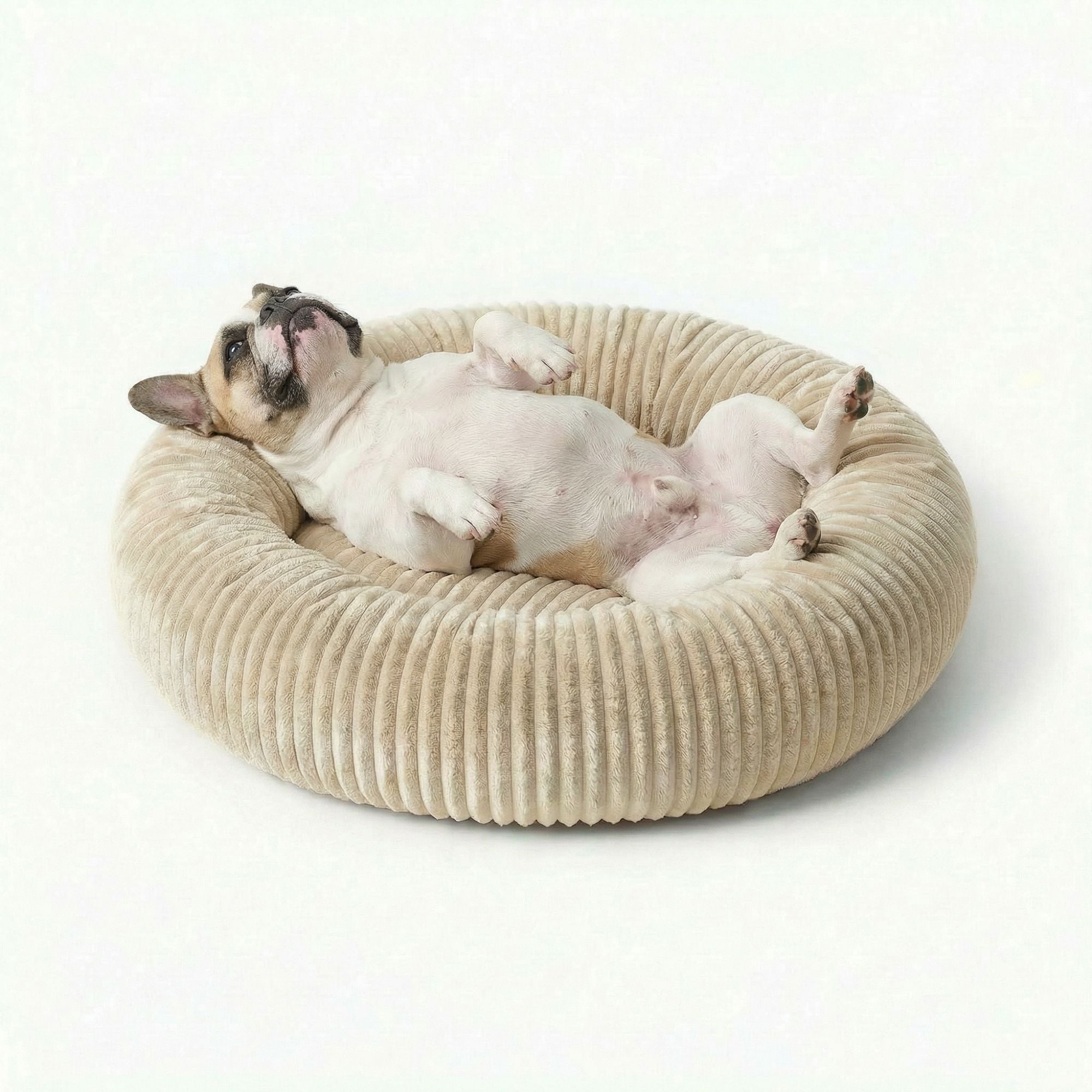 Kuscheliges Hundebett Comfy Beige