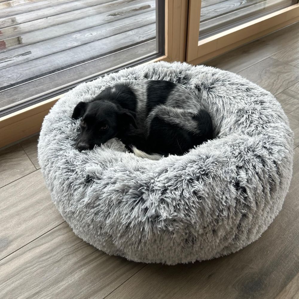 Weiche Hundebetten für optimalen Komfort, Entspannung und gesunden Schlaf