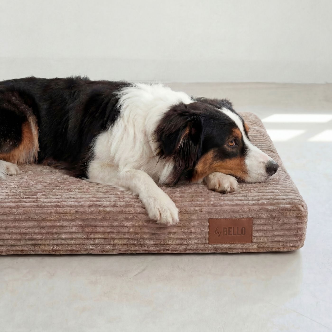 Orthopädische Hundematratze LUNO Hellbraun