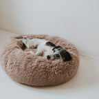 Hundebett WOLKE