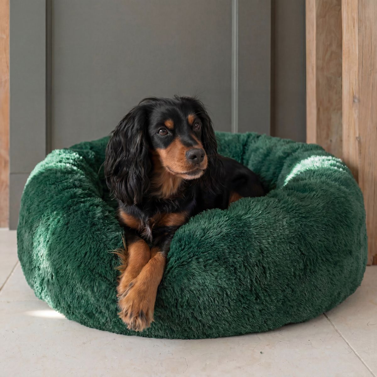 Hundebett WOLKE Plüsch Beige