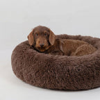 Hundebett WOLKE Plüsch Beige