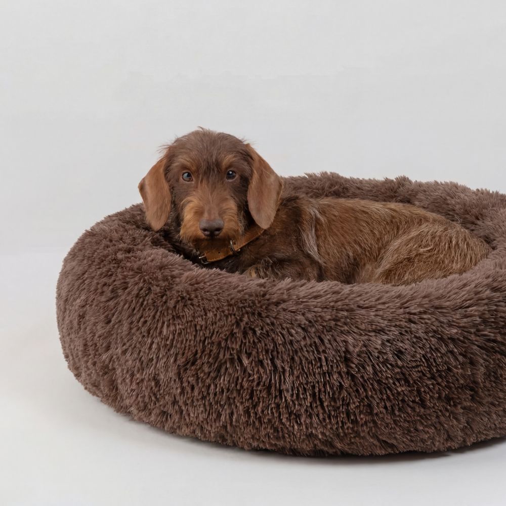 Hundebett WOLKE Plüsch Beige