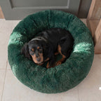 Hundebett WOLKE Plüsch Beige