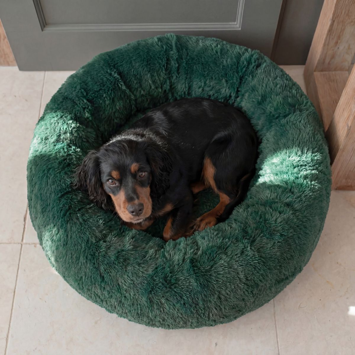 Hundebett WOLKE Plüsch Beige