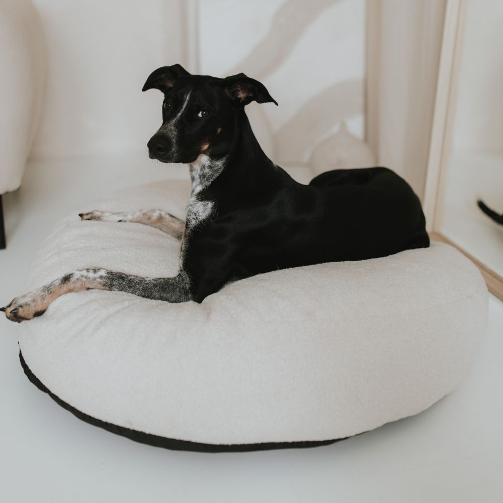 Hundepouf Bouclé Creme