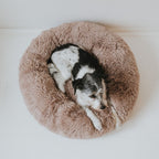 Hundebett WOLKE