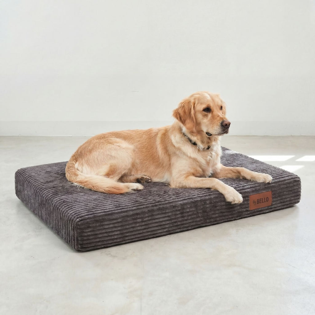 Orthopädische Hundematratze LUNO Dunkelgrau