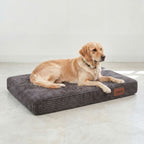 Orthopädische Hundebett LUNO Grau