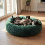 Hundebett WOLKE Plüsch Beige