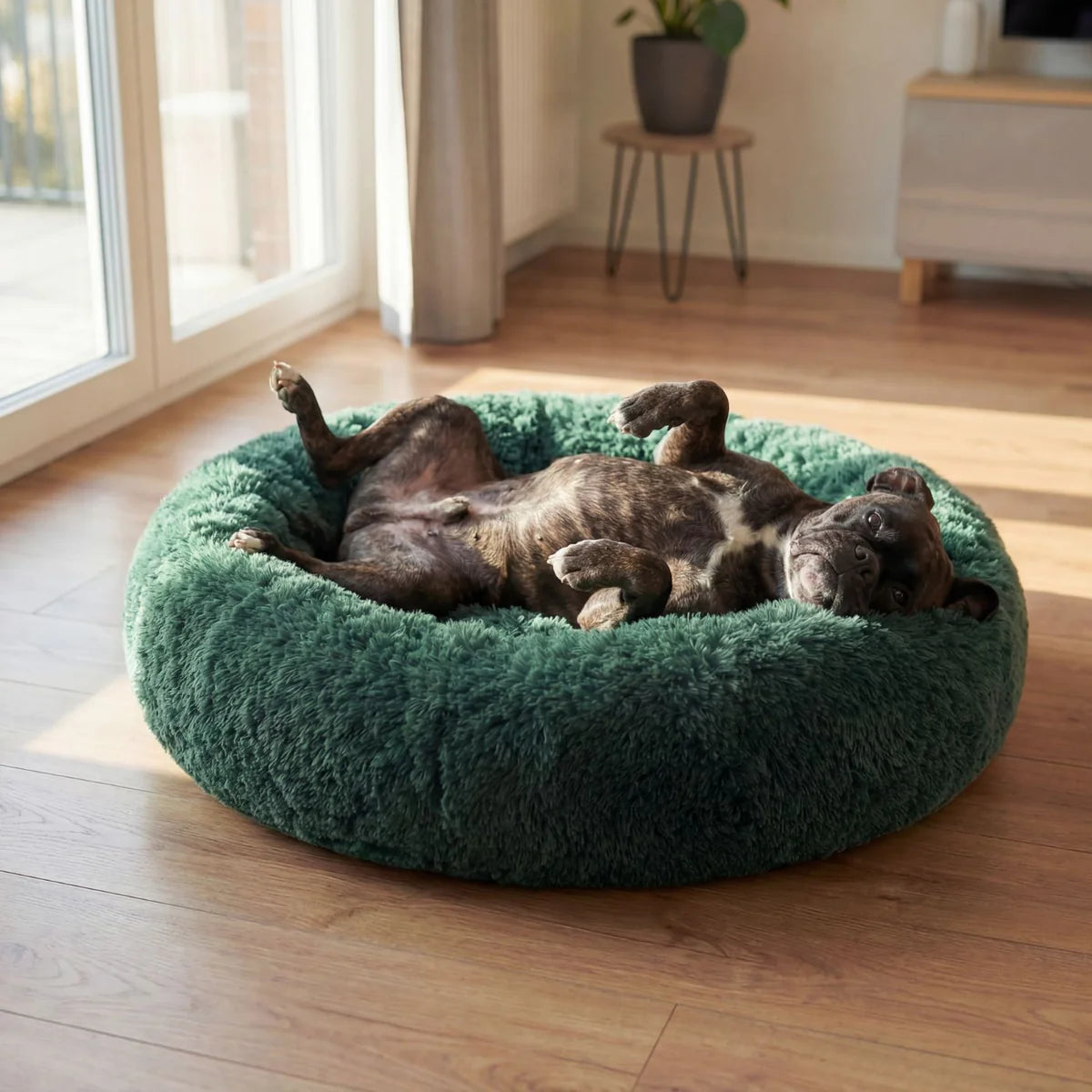 Hundebett WOLKE Plüsch Beige