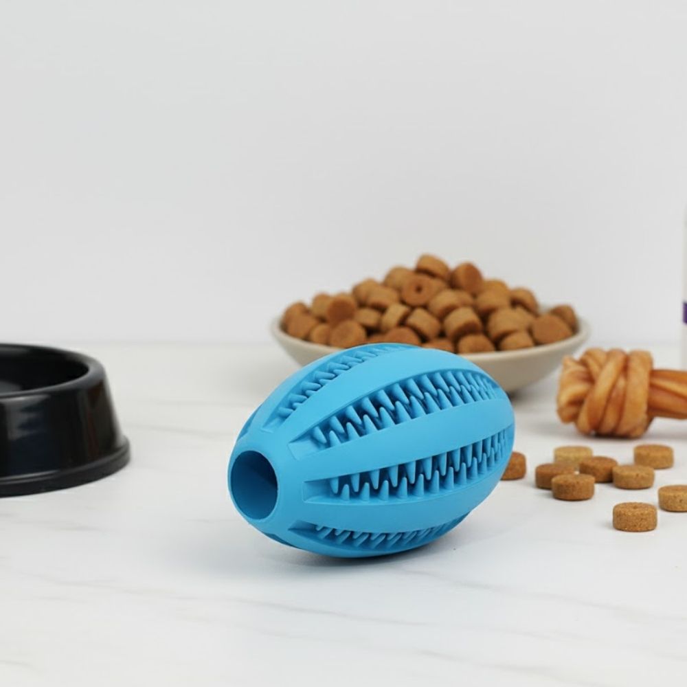 Hundeball RUGBY 11 cm