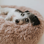 Hundebett WOLKE
