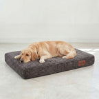 Orthopädische Hundebett LUNO Grau