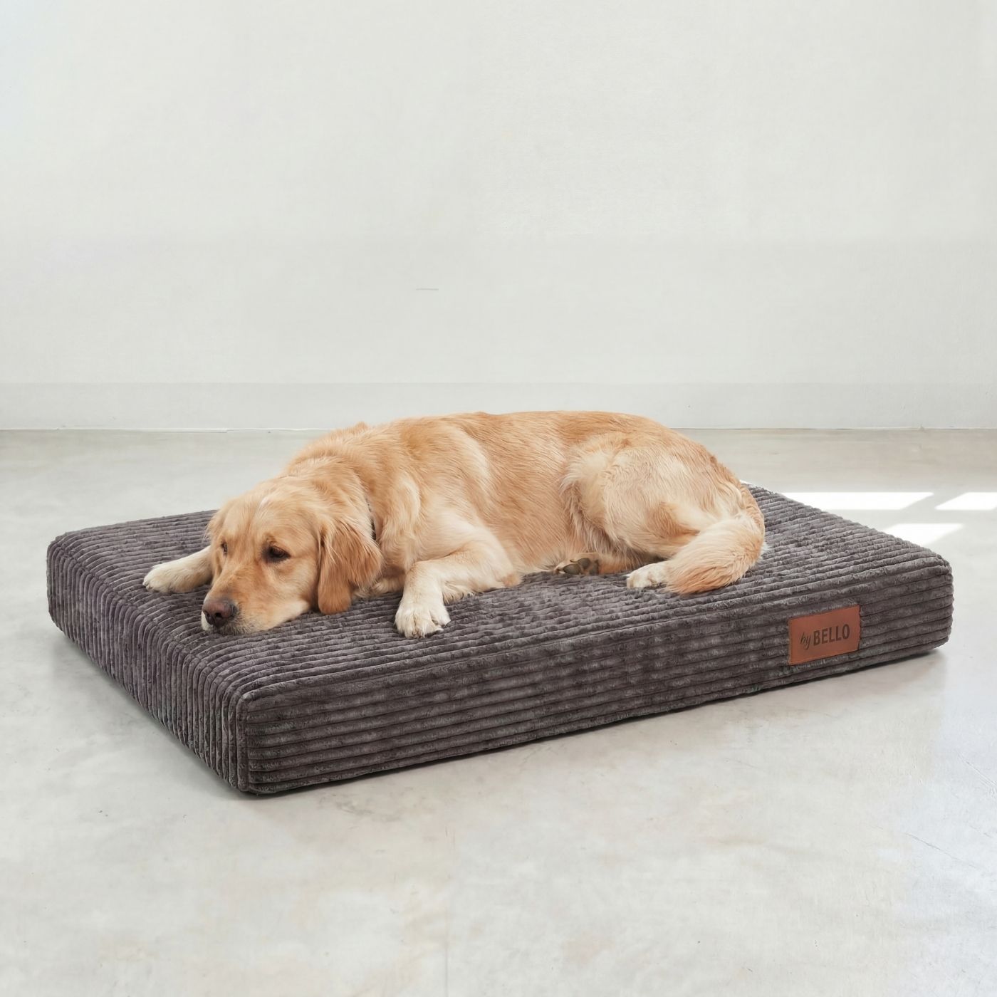 Orthopädische Hundematratze LUNO Dunkelgrau