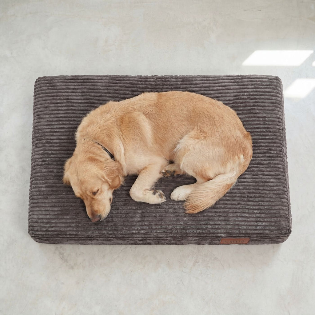 Orthopädische Hundematratze LUNO Dunkelgrau