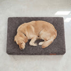 Orthopädische Hundebett LUNO Grau