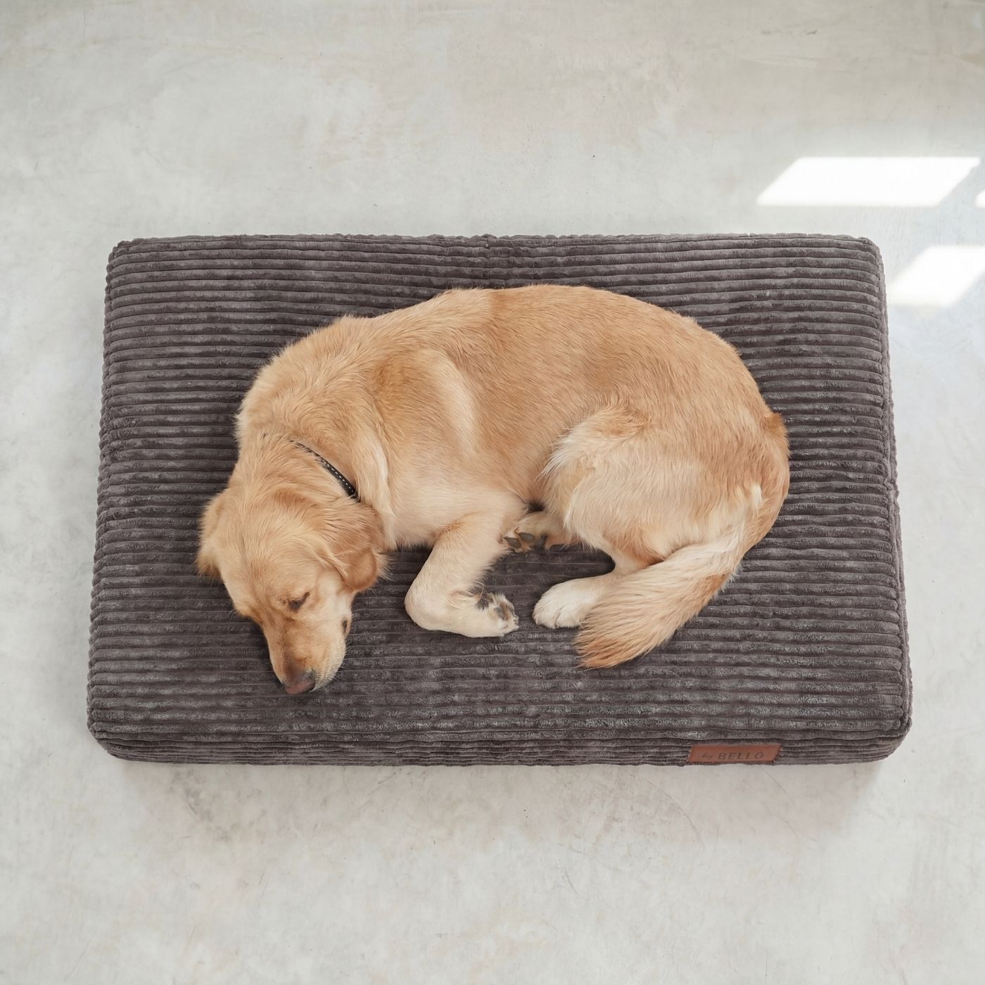 Orthopädische Hundematratze LUNO Dunkelgrau