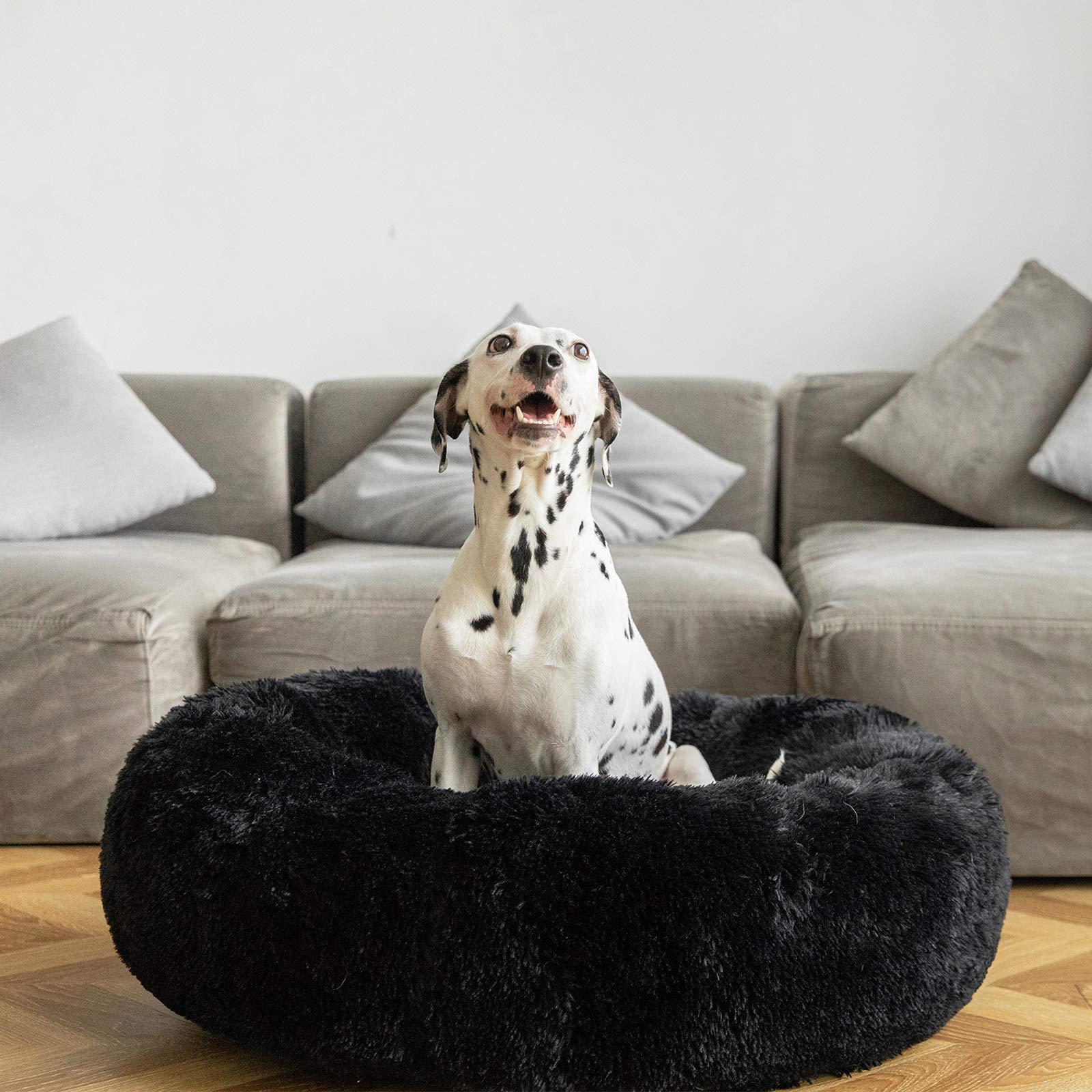 Hundebett WOLKE Plüsch Beige