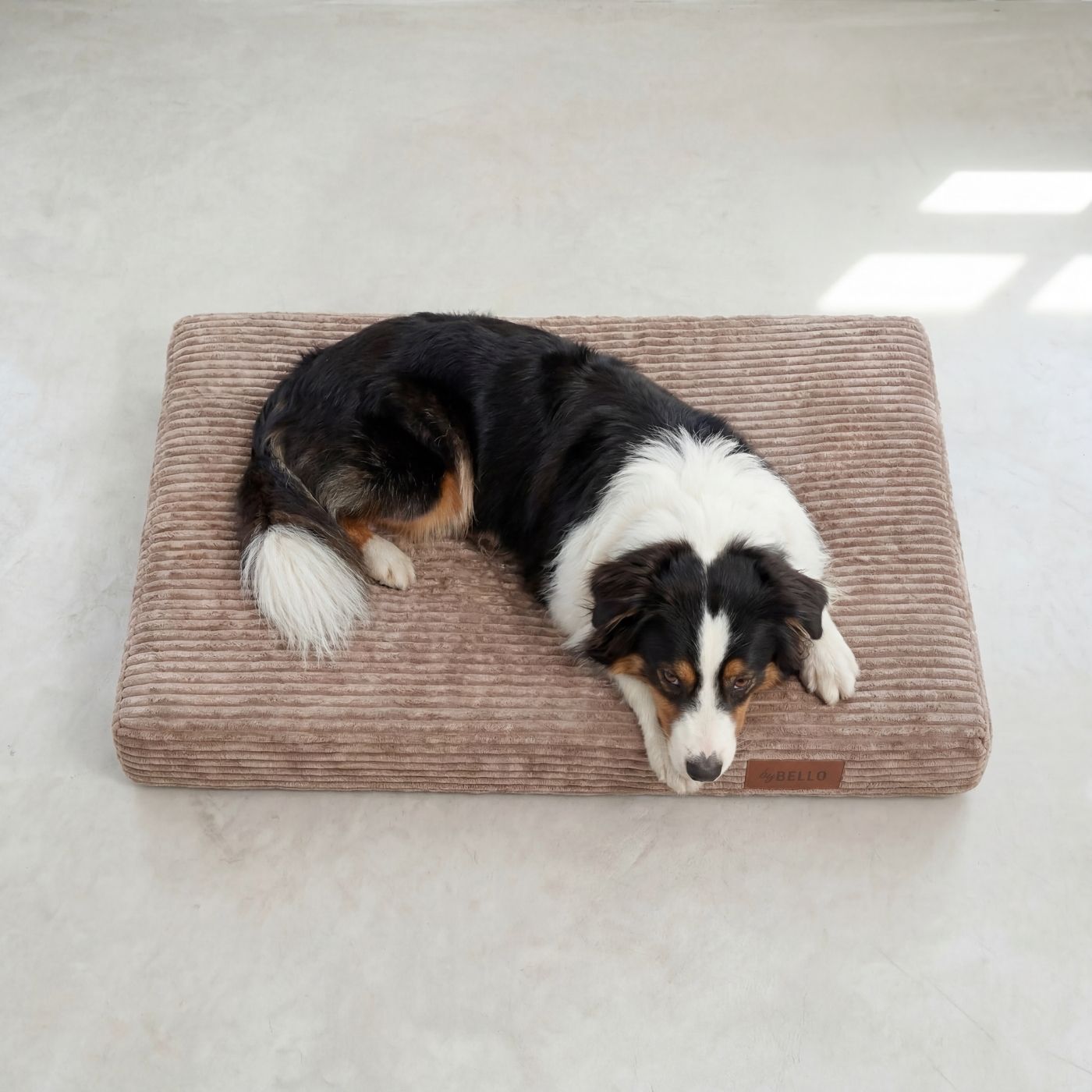Orthopädische Hundematratze LUNO Hellbraun