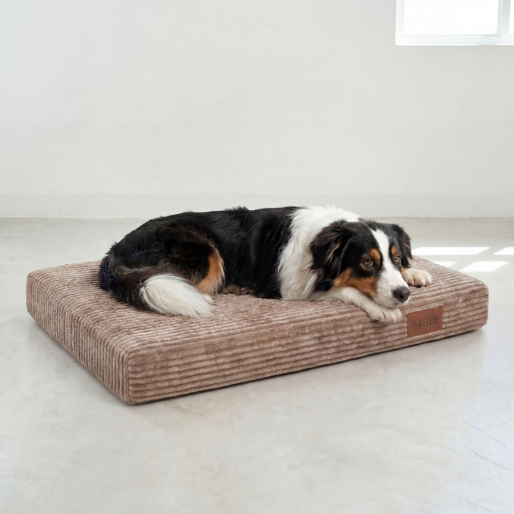 Orthopädische Hundematratze LUNO Hellbraun