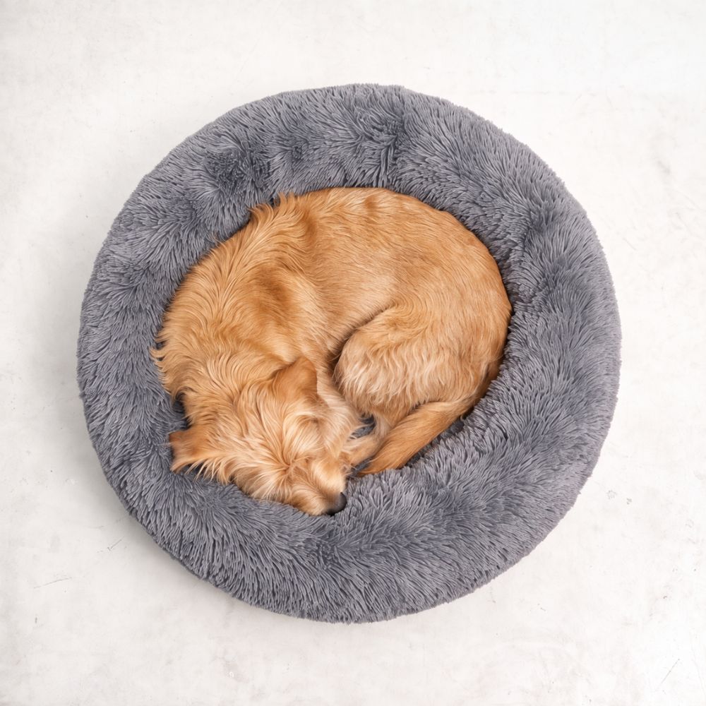 Zusammengerollter Hund im Hundebett WOLKE von oben
