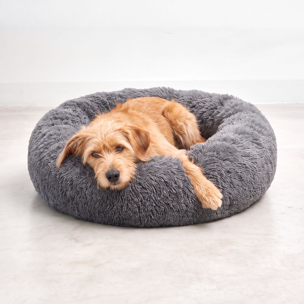 Hund mit einer Pfote über dem weichen Rand des dunkelgrauen Hundebetts WOLKE