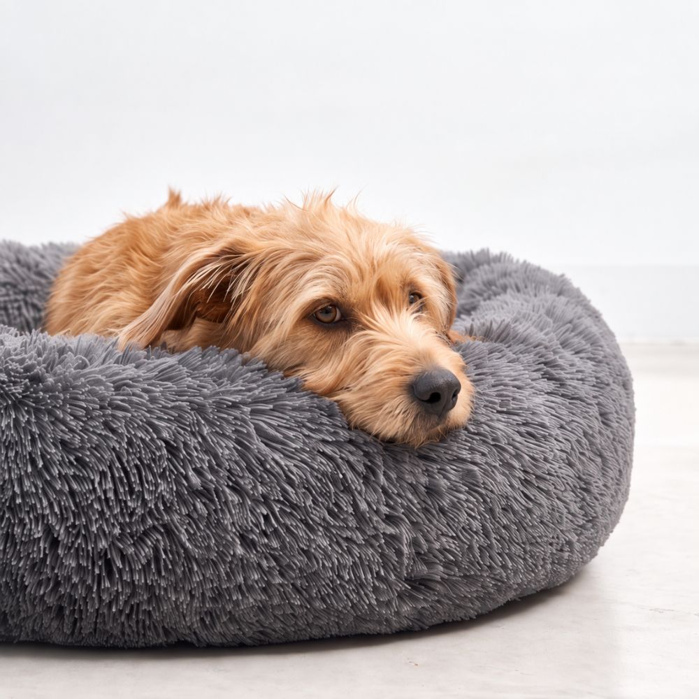Hund legt den Kopf auf den Rand des dunkelgrauen Hundebetts WOLKE