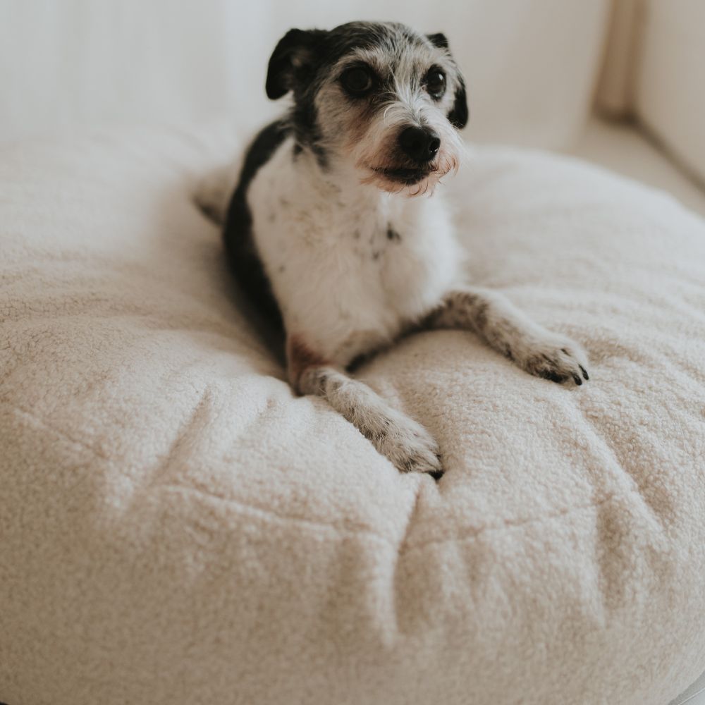Hundepouf Bouclé Creme