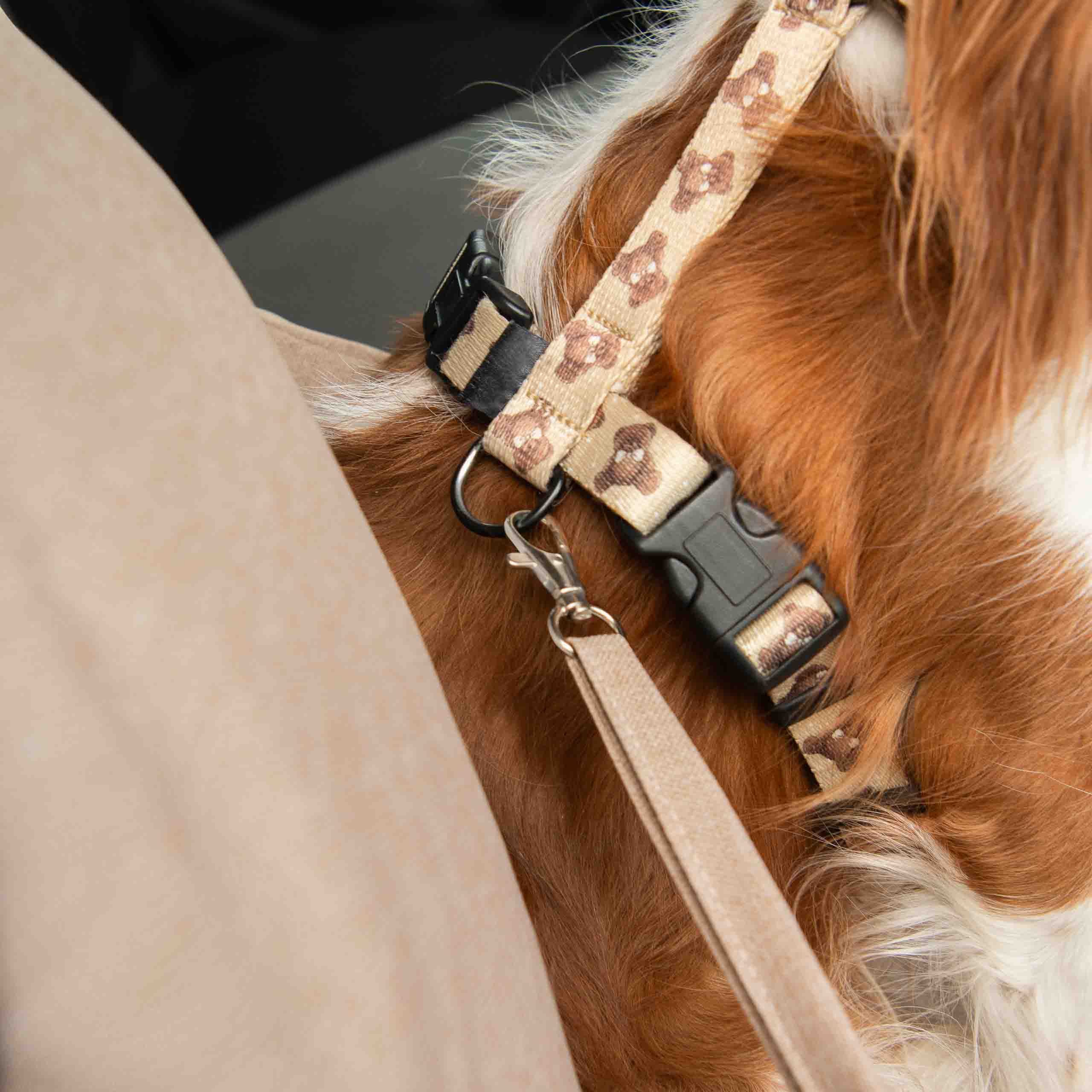 Hunde-Autositz Hellbraun für Tiere bis 12 kg