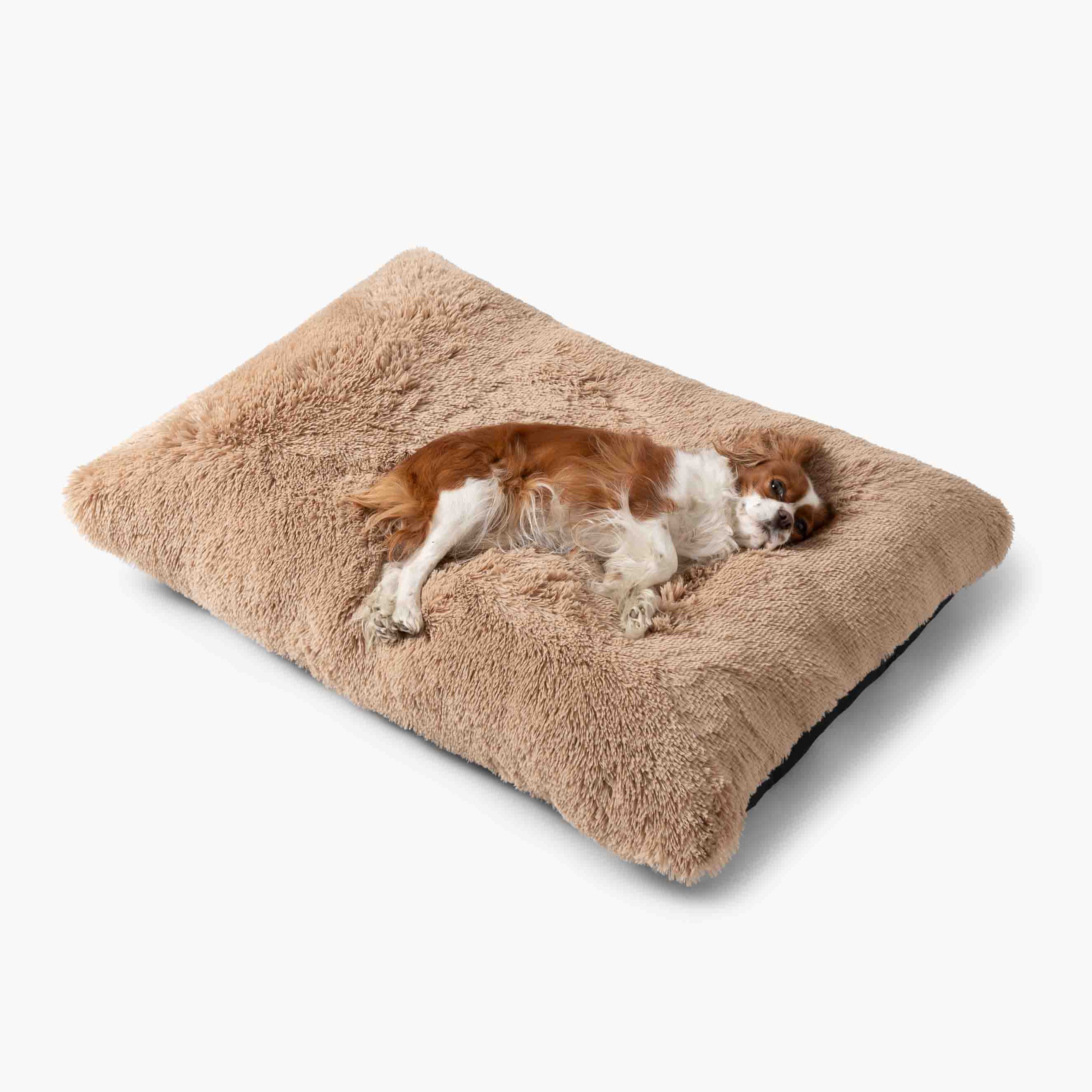 Plüschkissen Hundebett MIA Beige