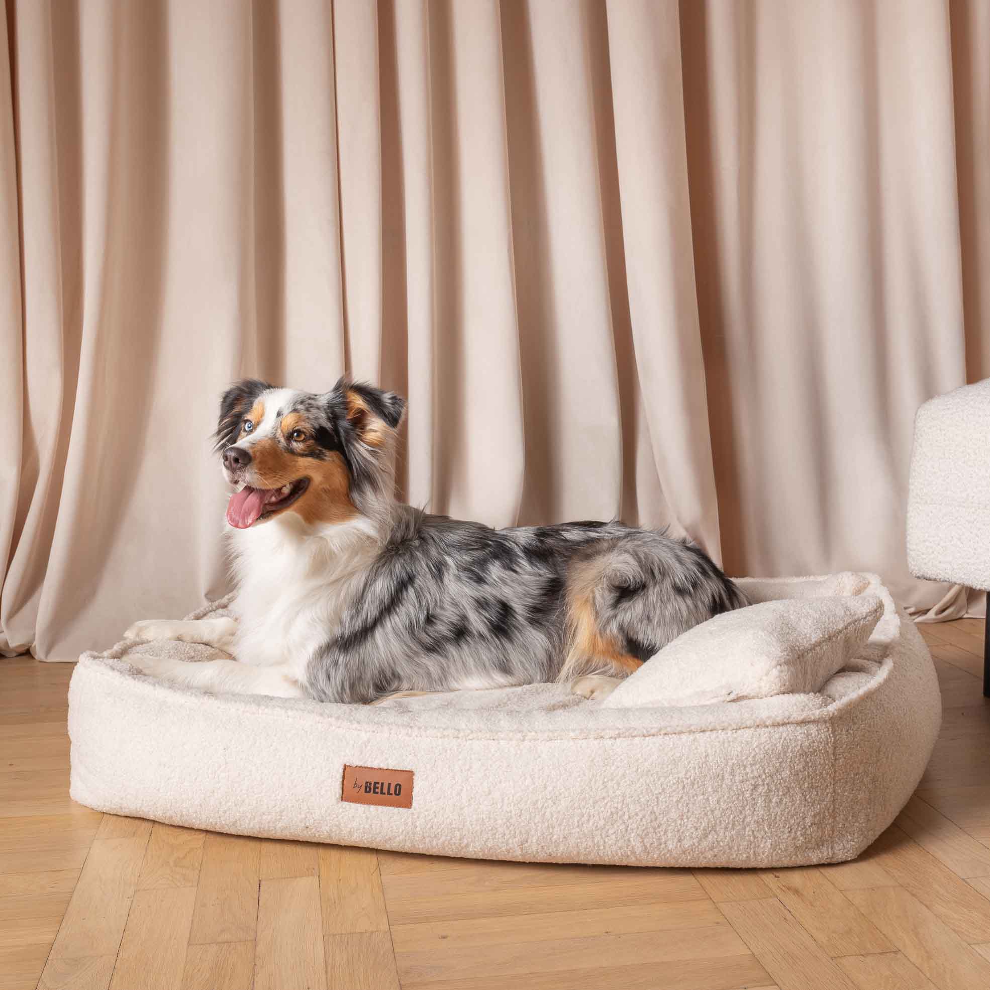 Orthopädisches Hundebett ROYAL aus Boucle - Creme