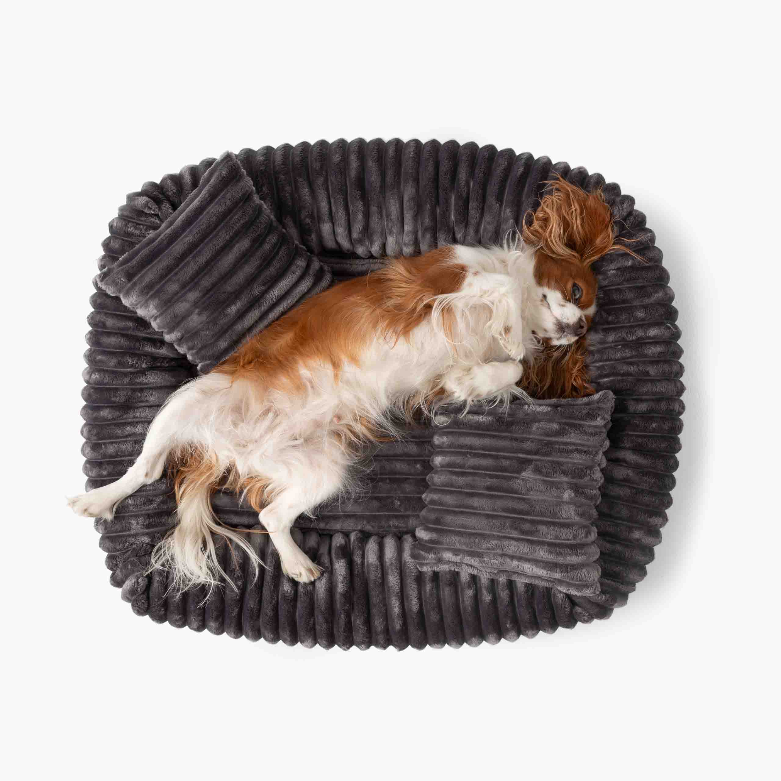 Orthopädisches Hundebett BELLO aus Cord - Dunkelgrau