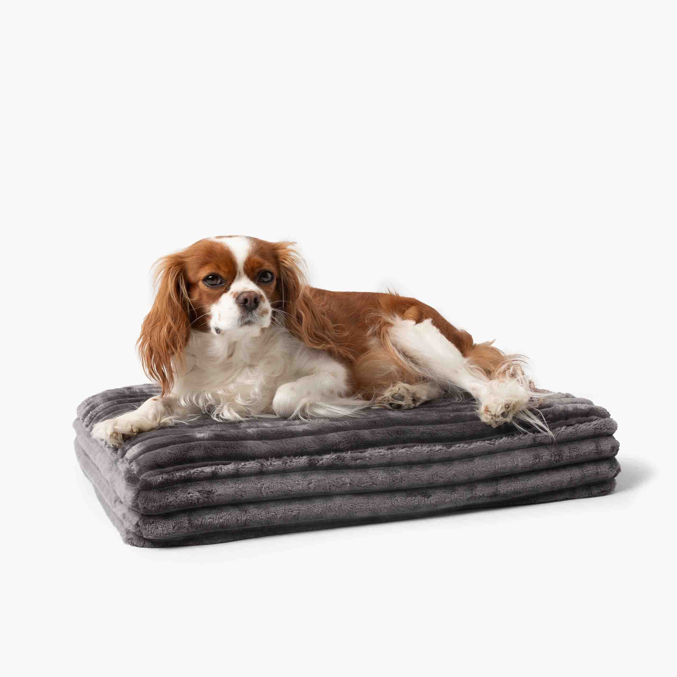 Orthopädisches Hundebett BELLO aus Cord - Dunkelgrau