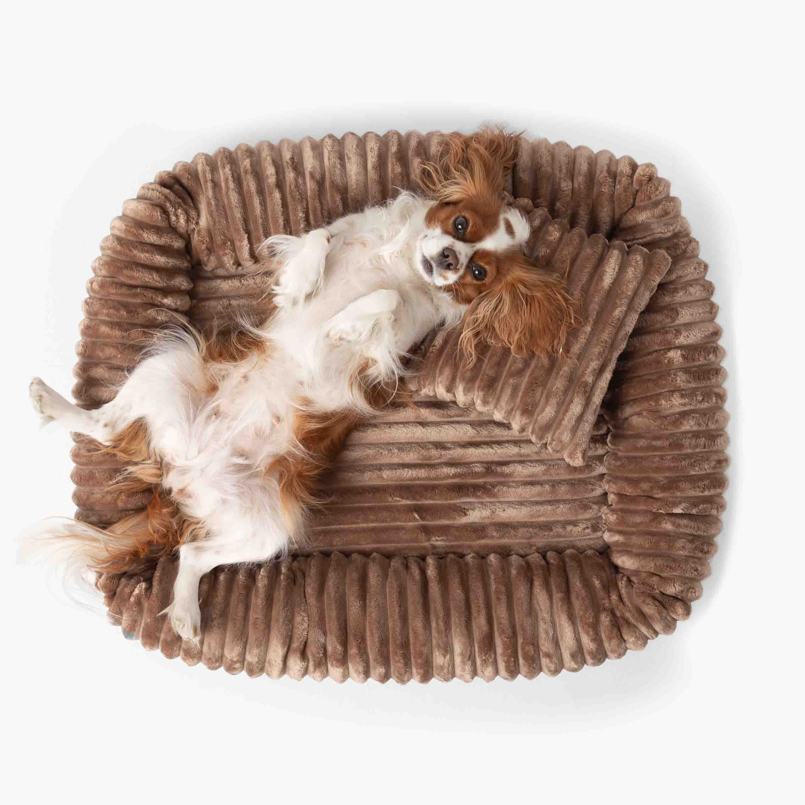 Orthopädisches Hundebett BELLO aus Cord Hellbraun