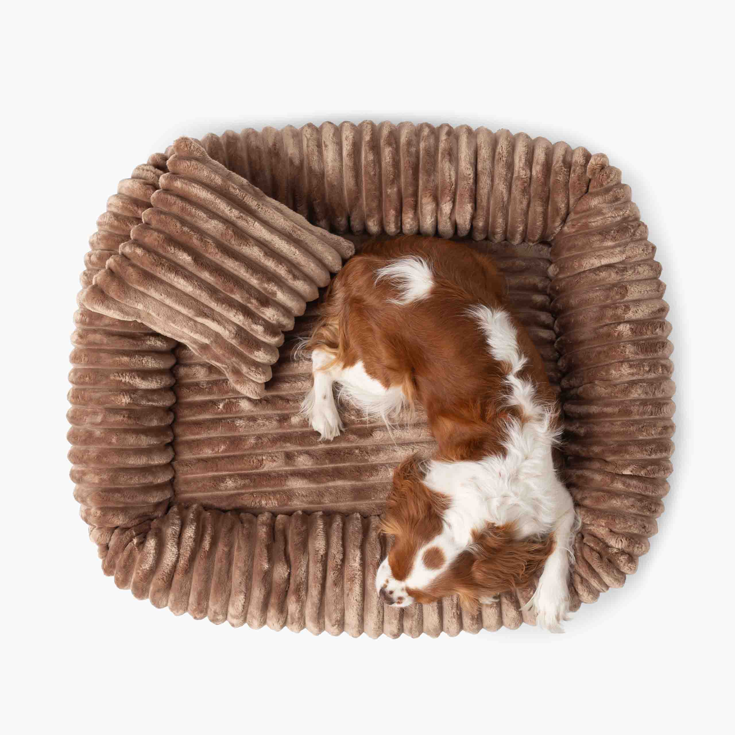 Orthopädisches Hundebett BELLO aus Cord Hellbraun