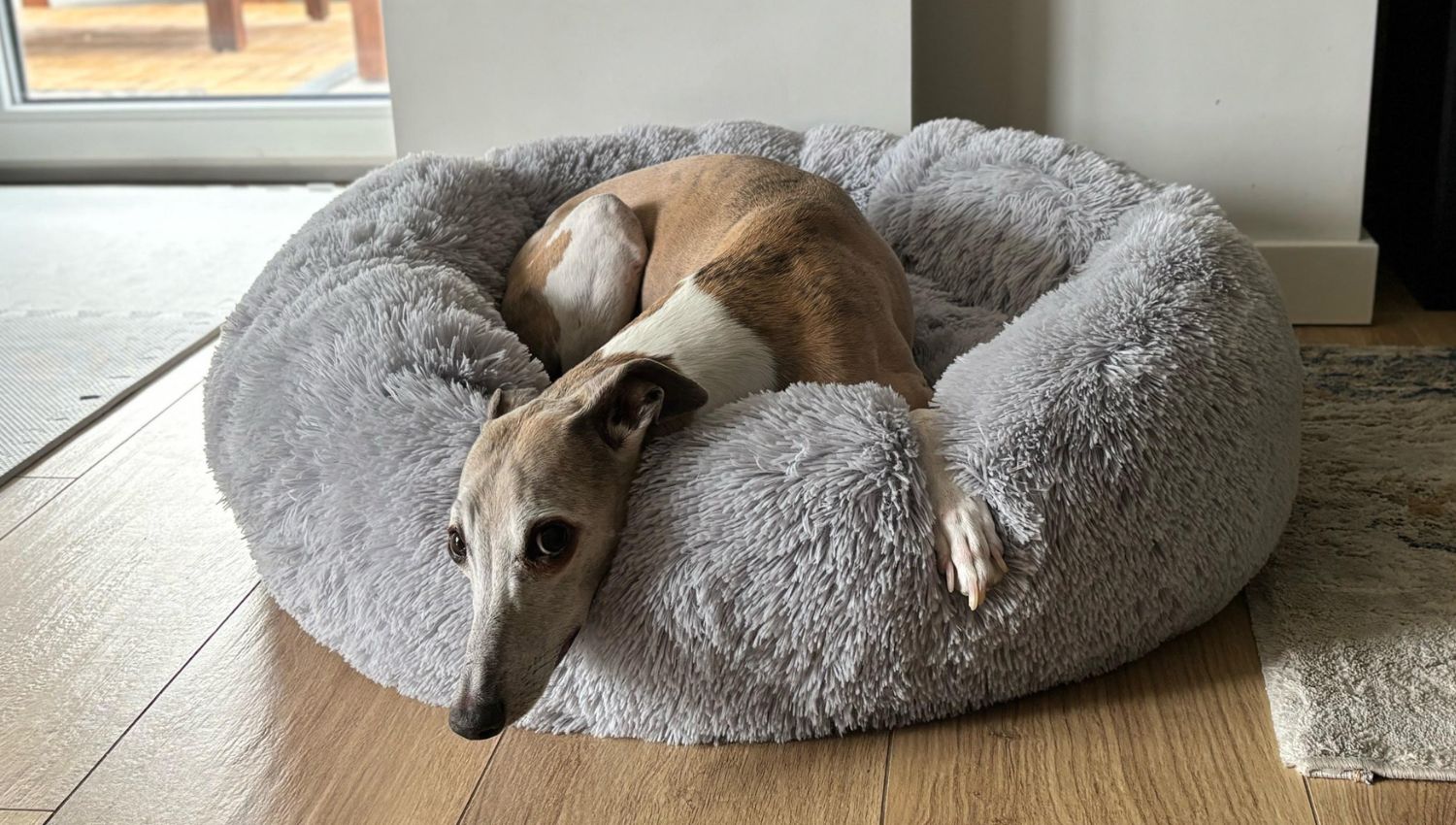 Hundebett WOLKE Plüsch Beige