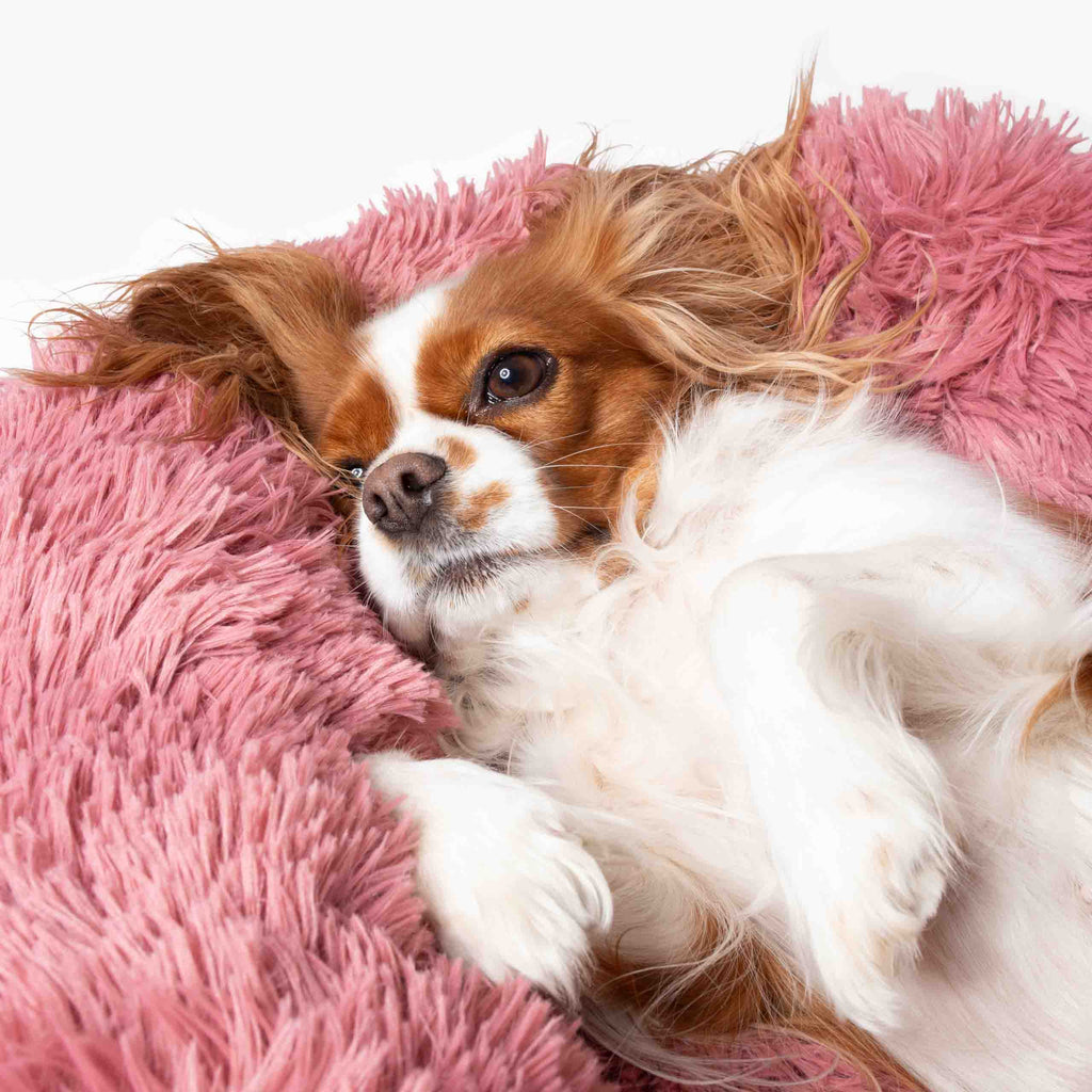 Kuscheliges Hundebett Wolke Rosa