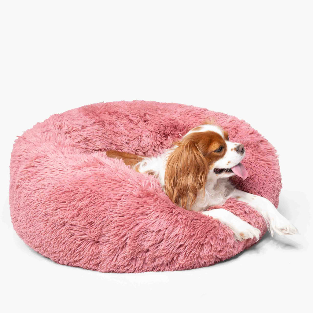 Kuscheliges Hundebett Wolke Rosa