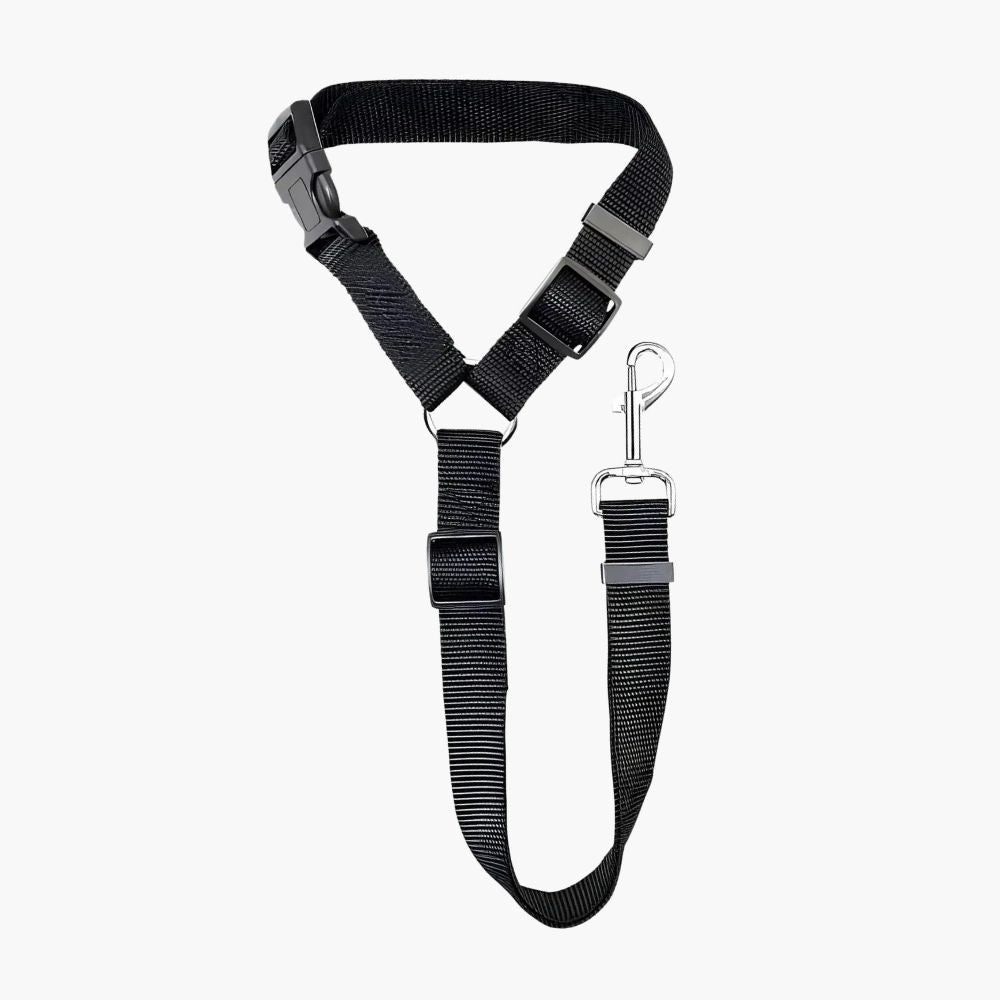 autosicherheitsgurt-fuer-hunde-an-kopfstuetze-befestigt