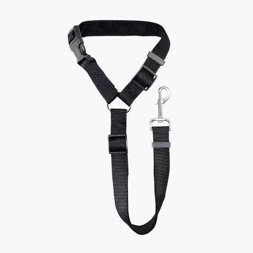 autosicherheitsgurt-fuer-hunde-an-kopfstuetze-befestigt