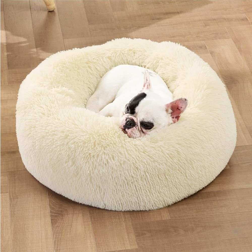 Französische Bulldogge entspannt im cremefarbenen Hundebett Wolke
