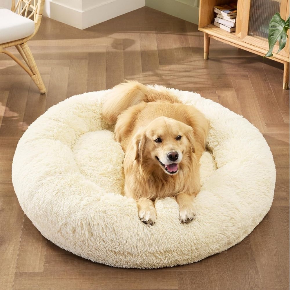 Golden Retriever im extra weichen Hundebett Wolke in Creme