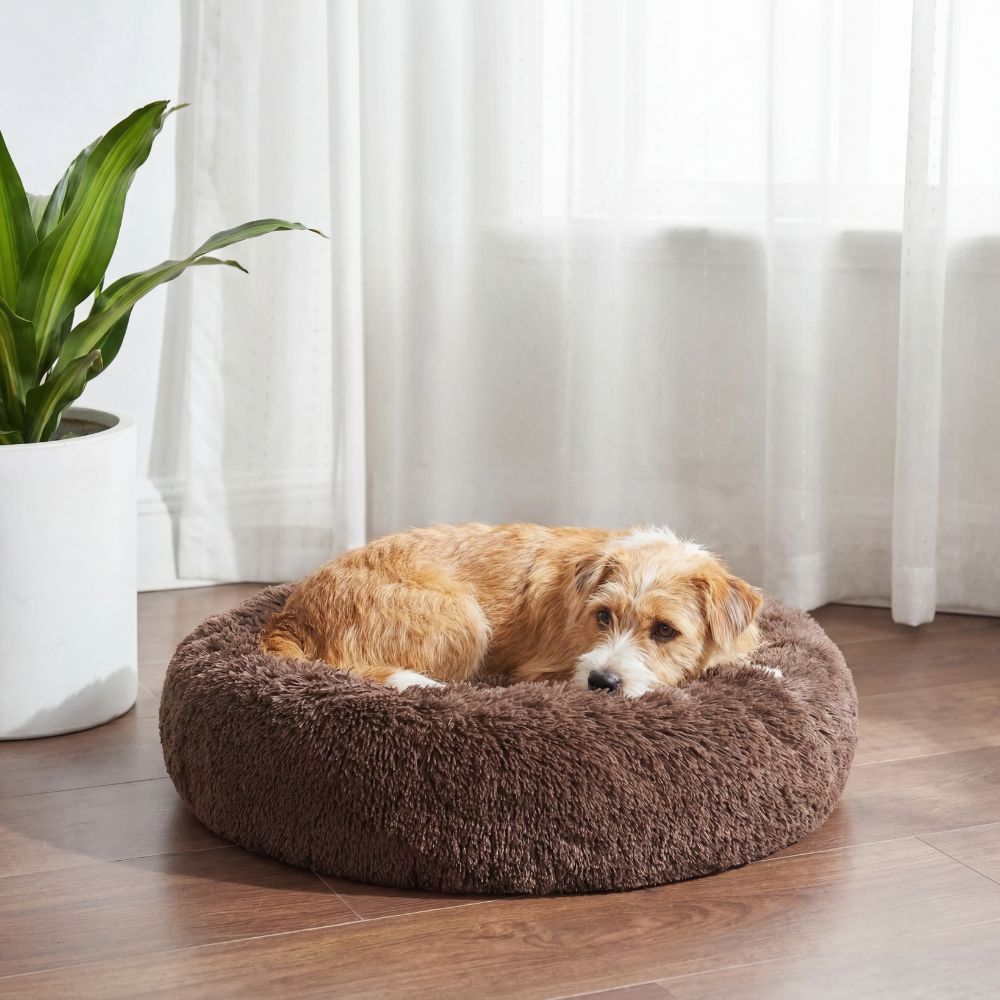 Hund neben weichem Hundebett Wolke aus Plüsch