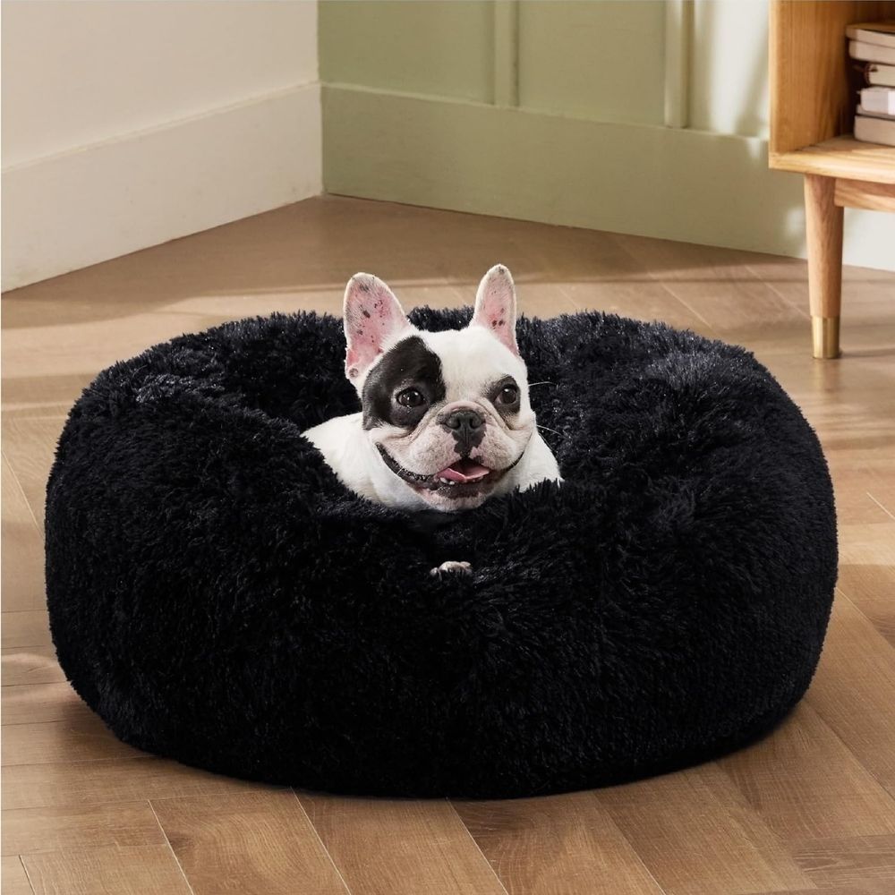 Französische Bulldogge im schwarzen Hundebett Wolke in modernem Zuhause