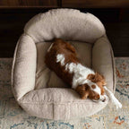 Hundeautositz Bouclé SAND