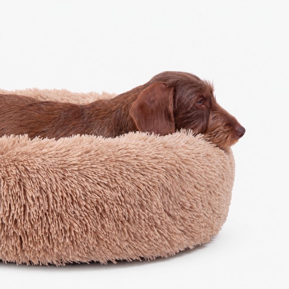 Hundebett WOLKE Beige