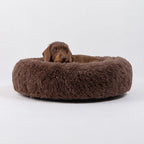 Hund im braunen Plüsch-Hundebett WOLKE von vorne