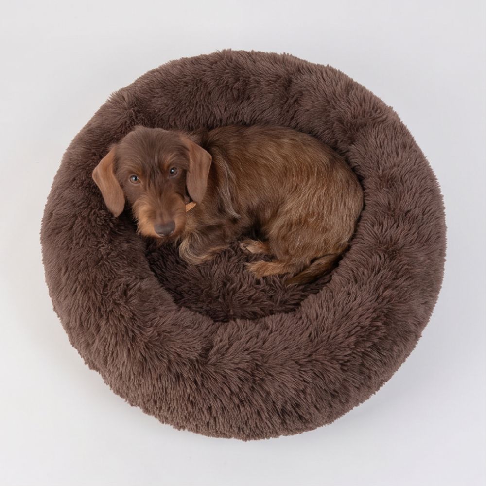 Zusammengerollter Hund im braunen Hundebett WOLKE von oben