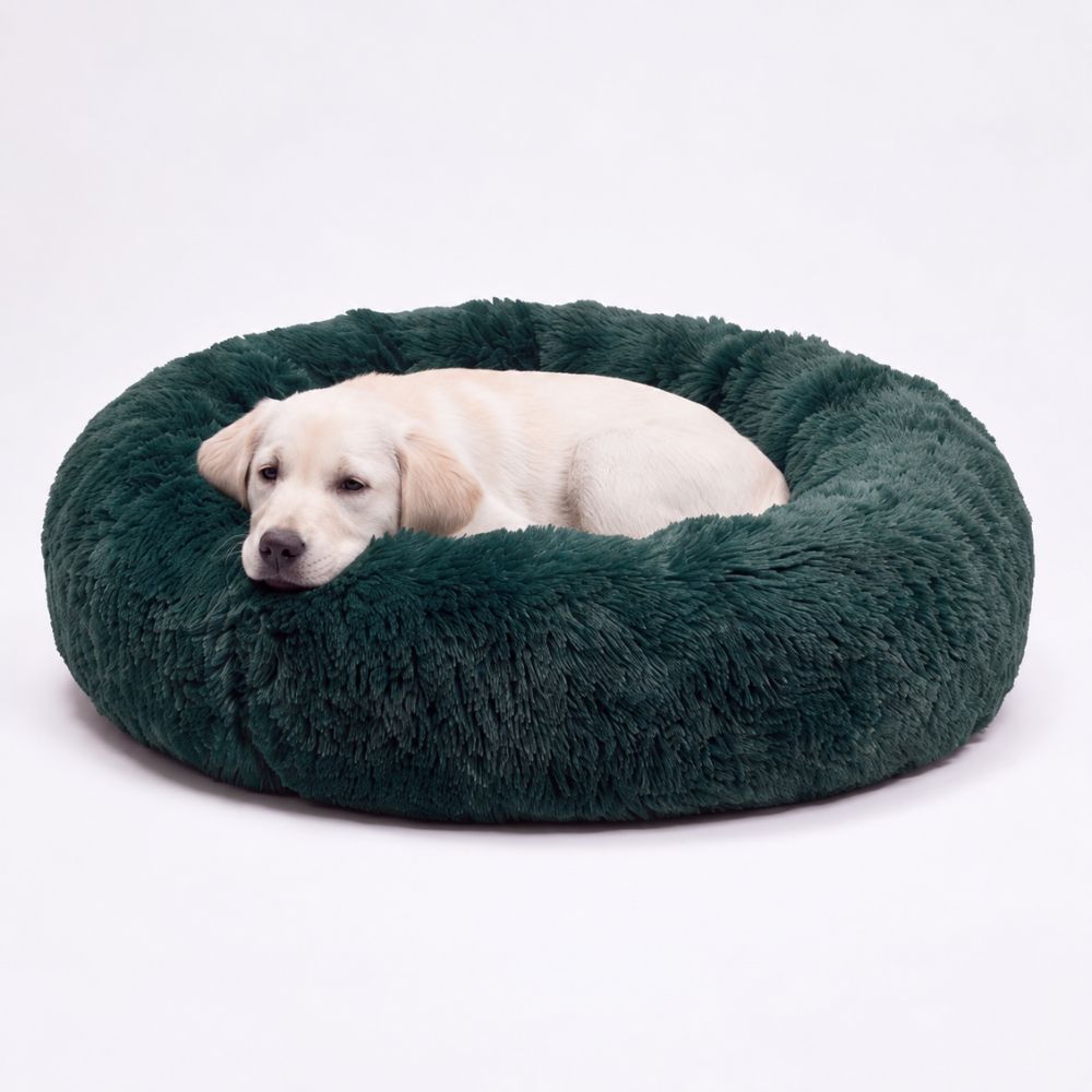 Welpe ruht im grünen Hundebett WOLKE